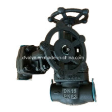 DIN Forged Carbon Steel A105 Thread End NPT Globe Valve